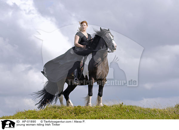 junge Frau mit Irish Tinker / young woman riding Irish Tinker / AP-01890