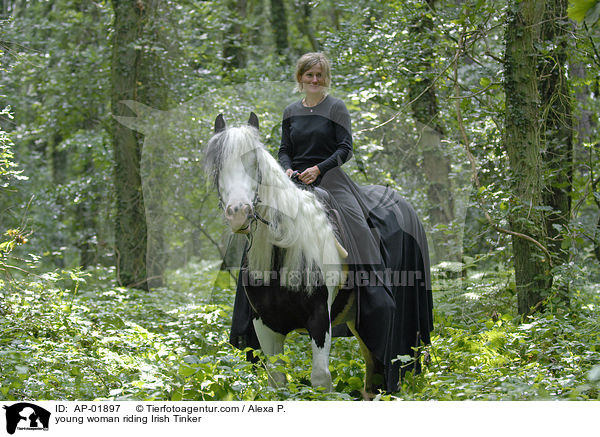 junge Frau mit Irish Tinker / young woman riding Irish Tinker / AP-01897