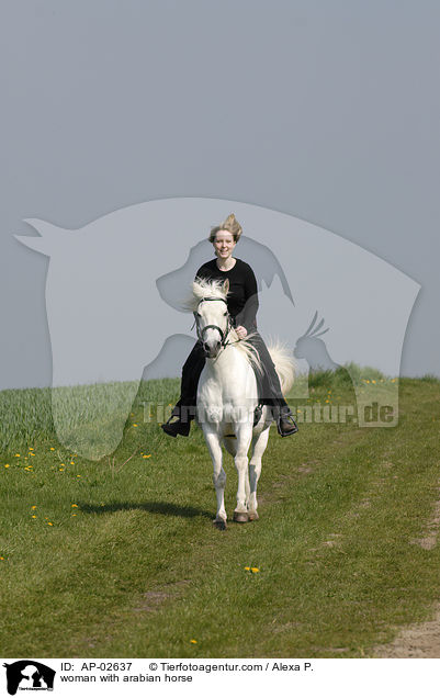 Frau mit Araber / woman with arabian horse / AP-02637