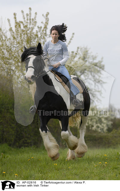 Frau mit Irish Tinker / woman with Irish Tinker / AP-02816