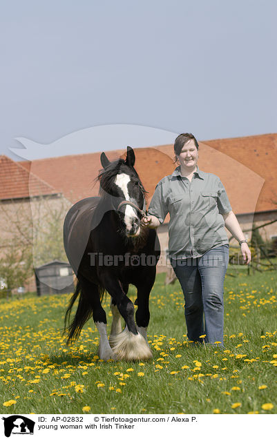 junge Frau mit Irish Tinker / young woman with Irish Tinker / AP-02832