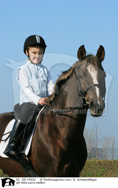 Mdchen reitet Pony Hengst / girl rides pony stallion / SS-15442