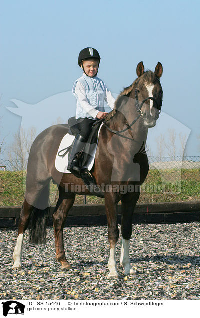 Mdchen reitet Pony Hengst / girl rides pony stallion / SS-15446