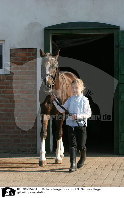 Mdchen fhrt Pony Hengst / girl with pony stallion / SS-15454