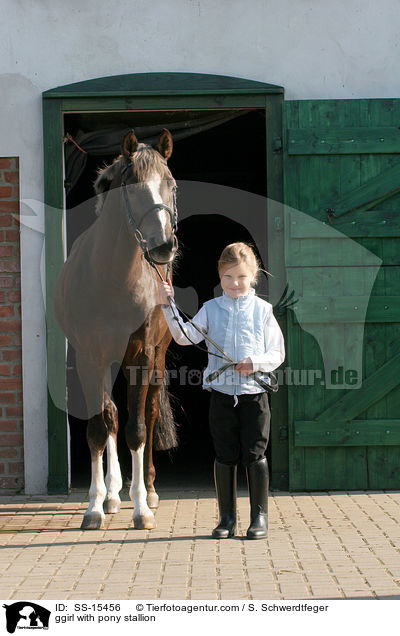 Mdchen fhrt Pony Hengst / ggirl with pony stallion / SS-15456