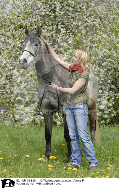 young woman with arabian horse / AP-03330