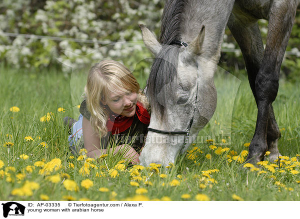 junge Frau mit Araber / young woman with arabian horse / AP-03335
