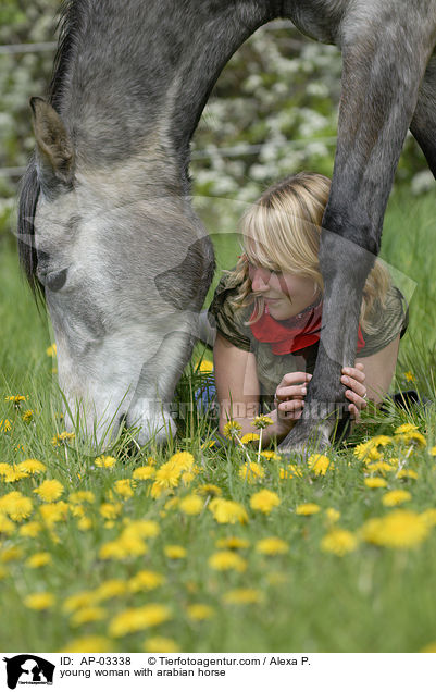 junge Frau mit Araber / young woman with arabian horse / AP-03338