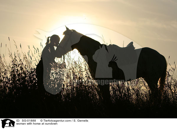 junge Frau mit Pferd im Sonnenuntergang / woman with horse at sundown / SG-01888