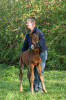 man with Brandenburgian horse foal