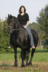 friesian with horsewoman