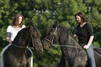 friesian with horsewomen