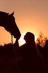 horse and woman in sundown