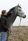 woman with arabian horse