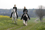 woman with arabian horse