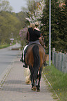 young woman with horse