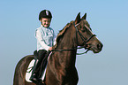 girl rides pony stallion