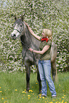 young woman with arabian horse