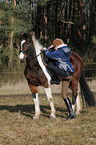 climbing a horse