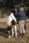 help to climb a horse