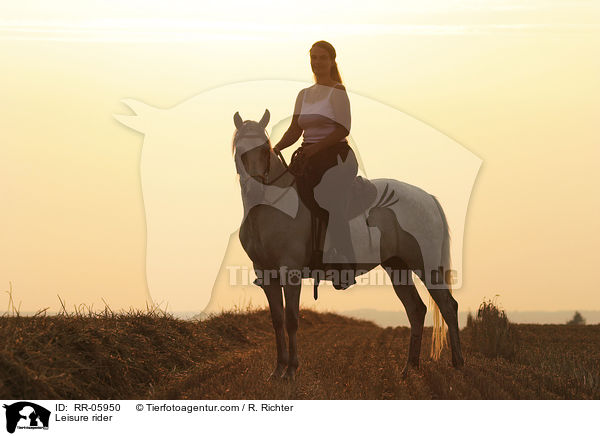 Reiter im Sonnenuntergang / Leisure rider / RR-05950
