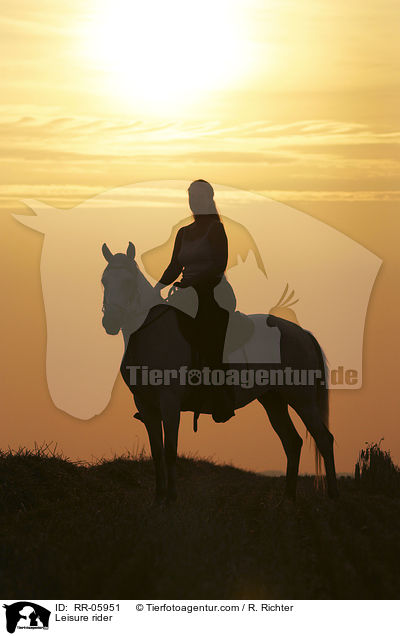 Reiter im Sonnenuntergang / Leisure rider / RR-05951