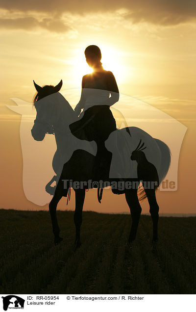 Reiter im Sonnenuntergang / Leisure rider / RR-05954