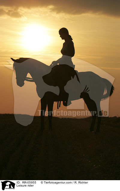 Reiter im Sonnenuntergang / Leisure rider / RR-05955