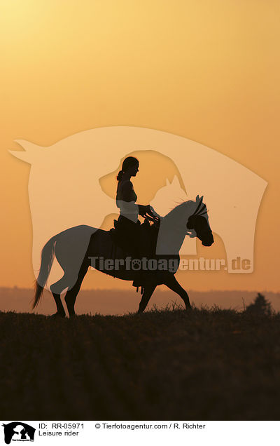 Reiter im Sonnenuntergang / Leisure rider / RR-05971