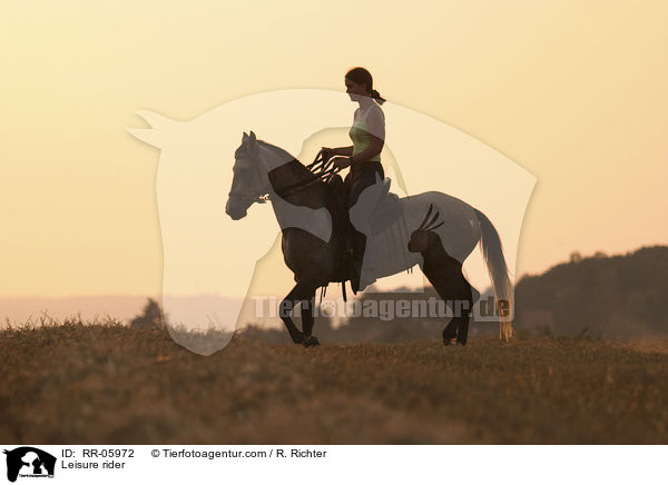 Reiter im Sonnenuntergang / Leisure rider / RR-05972