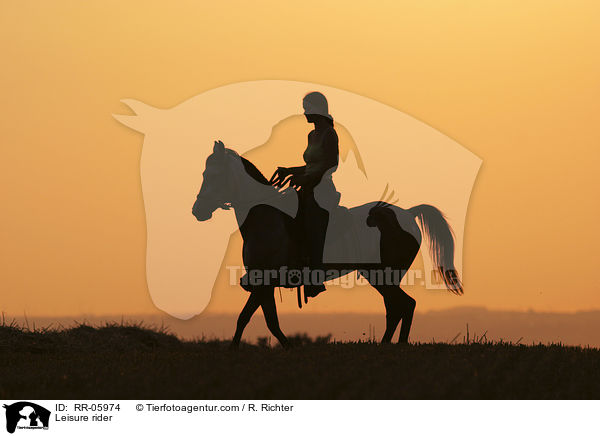 Reiter im Sonnenuntergang / Leisure rider / RR-05974