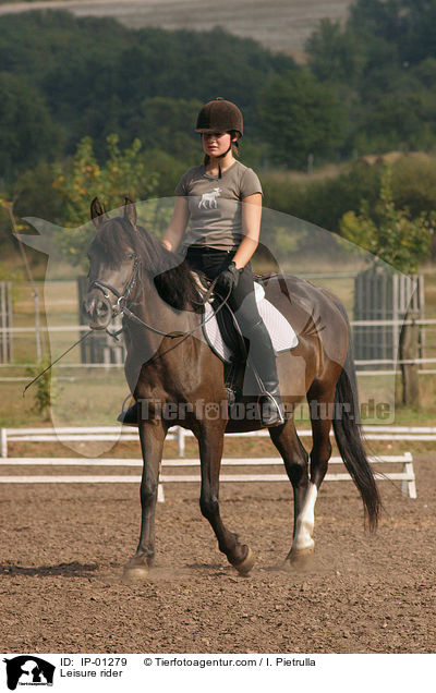 Reiterin auf Lewitzer Pony / Leisure rider / IP-01279