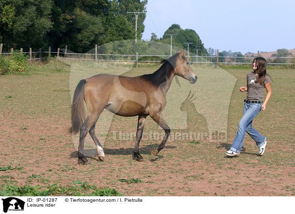 Mdchen mit Lewitzer Pony / Leisure rider / IP-01287