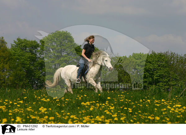 Pferd und Reiter auf Ausritt / Leisure rider / PM-01292