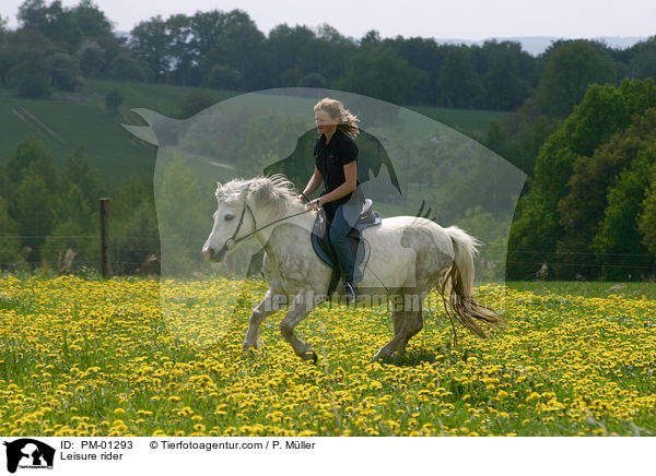 Pferd und Reiter auf Ausritt / Leisure rider / PM-01293
