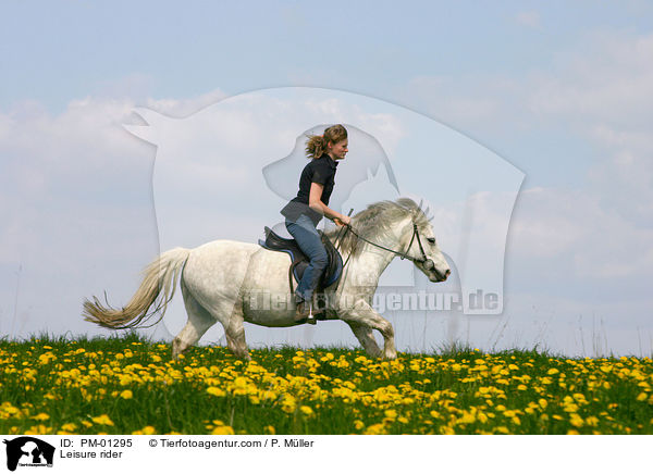Pferd und Reiter auf Ausritt / Leisure rider / PM-01295