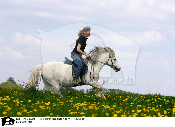 Pferd und Reiter auf Ausritt / Leisure rider / PM-01296