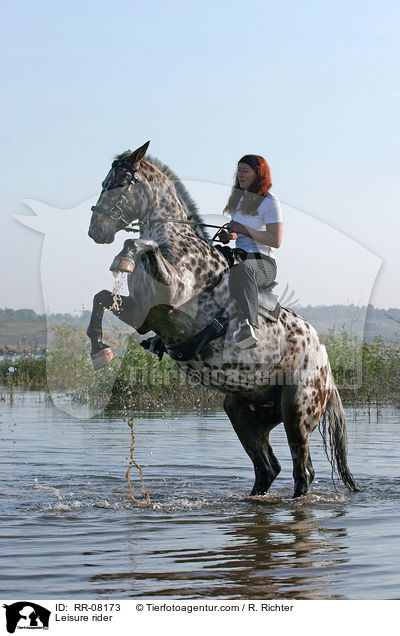 Pferd steigt auf Kommando / Leisure rider / RR-08173