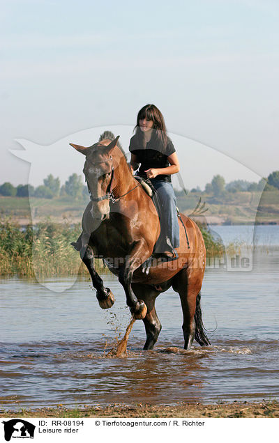 Pferd steigt auf Kommando / Leisure rider / RR-08194