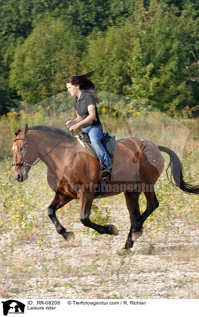 Freizeitreiten / Leisure rider / RR-08208