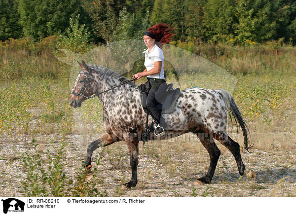 Freizeitreiten / Leisure rider / RR-08210