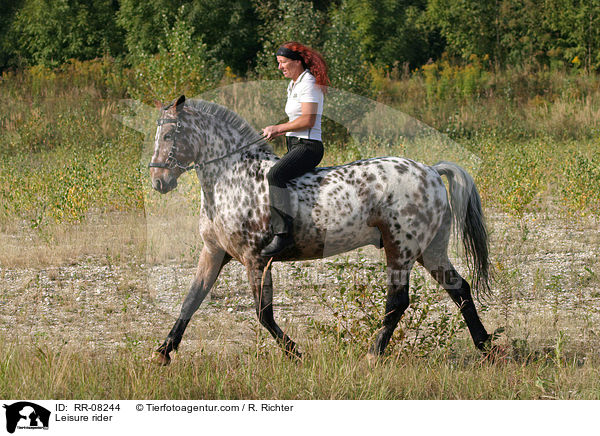 Freizeitreiten / Leisure rider / RR-08244