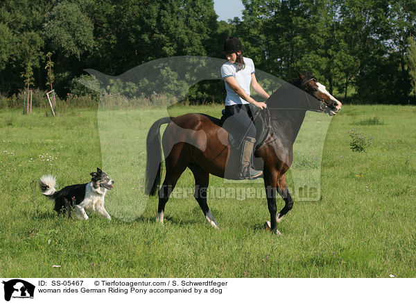 woman rides German Riding Pony accompanied by a dog / SS-05467
