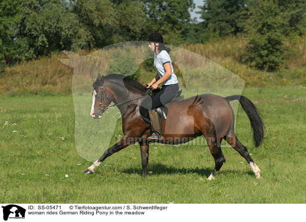 Frau reitet Deutsches Reitpony / woman rides pony in the meadow / SS-05471