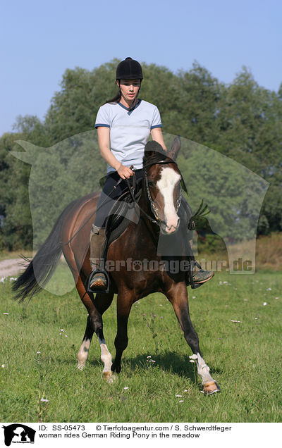 Frau reitet Deutsches Reitpony / woman rides pony in the meadow / SS-05473