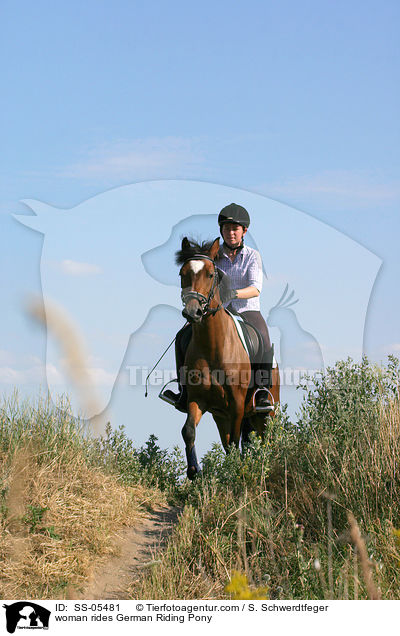 Frau reitet Deutsches Reitpony / woman rides pony / SS-05481