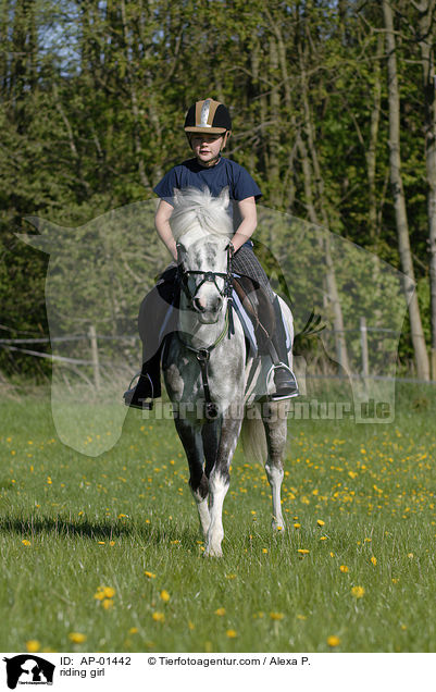 Mdchen reitet auf Pferd / riding girl / AP-01442