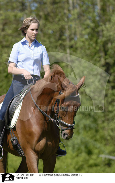 Freizeitreiten / riding girl / AP-01481