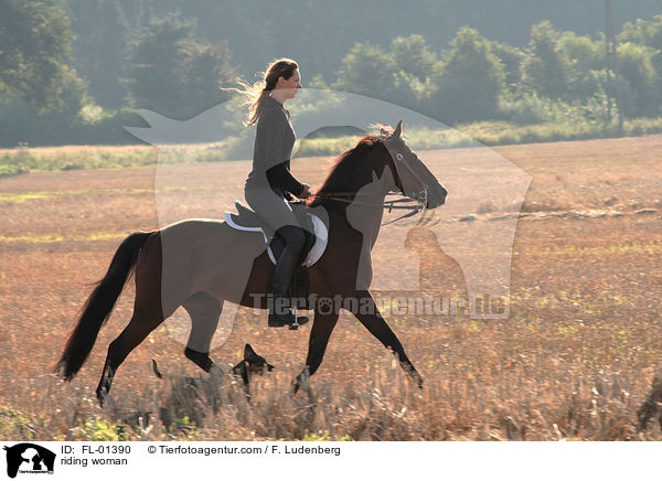 Reiterin auf Stoppelfeld / riding woman / FL-01390