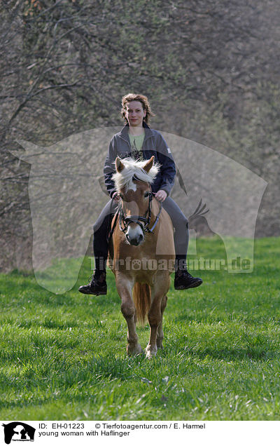 young woman with Haflinger / EH-01223